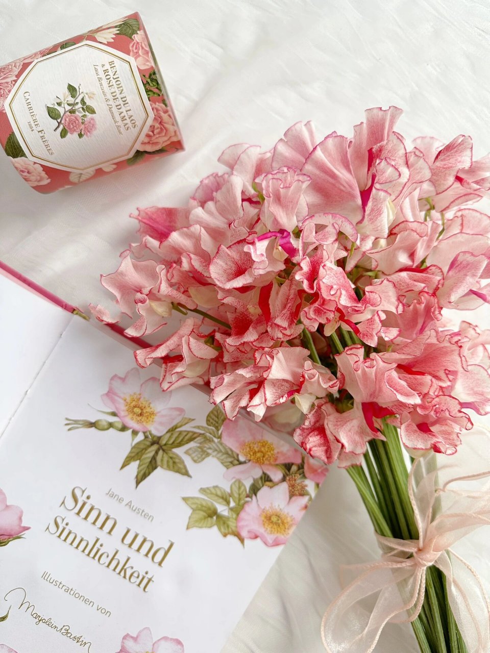 香豌豆|她的花语真的很浪漫!