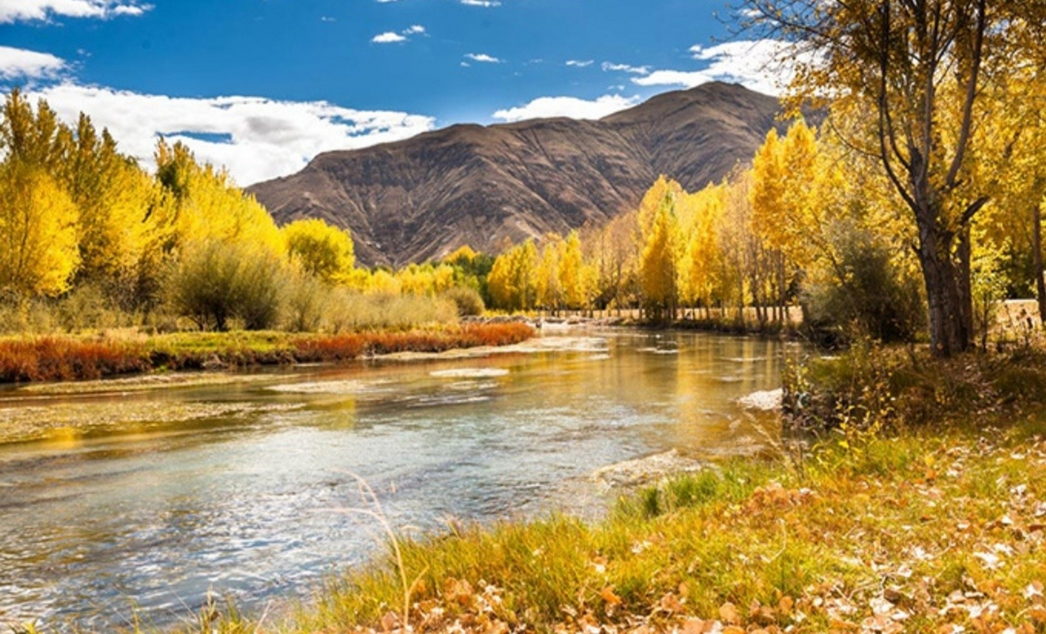 早安##拥抱美好生活# 生活正在你的前方微笑,勇敢地走上前去,将彩色