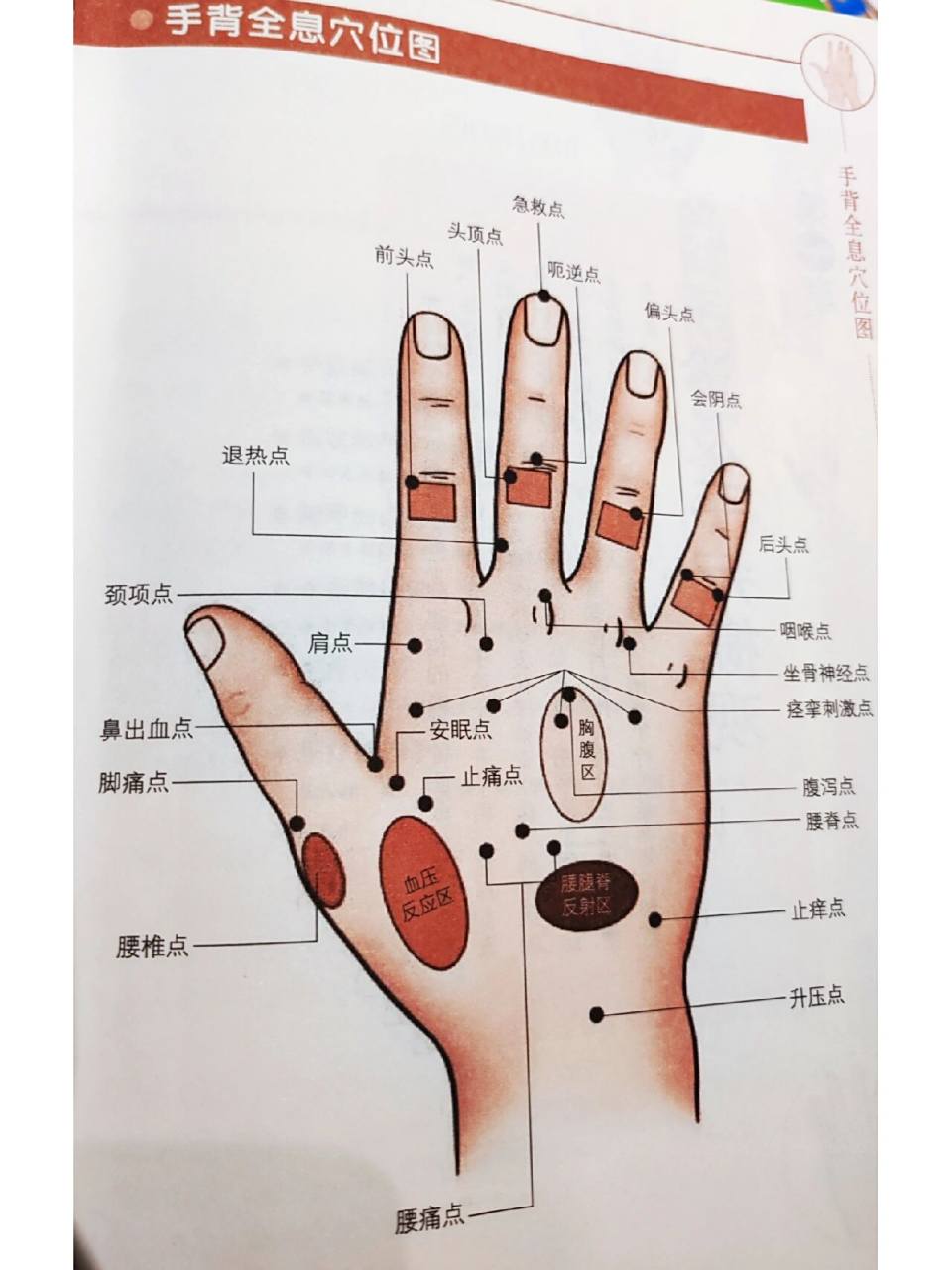 手背全息穴位图,喜欢的点赞收藏吧 每天学点中医知识,有能力爱自己,有