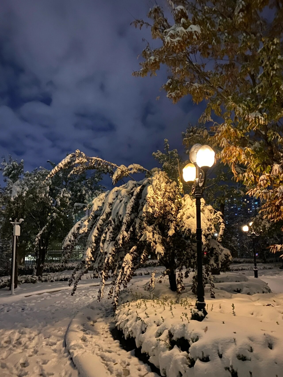 夜间雪景 大雪后的夜晚,在昏黄的灯光照耀下美极了!