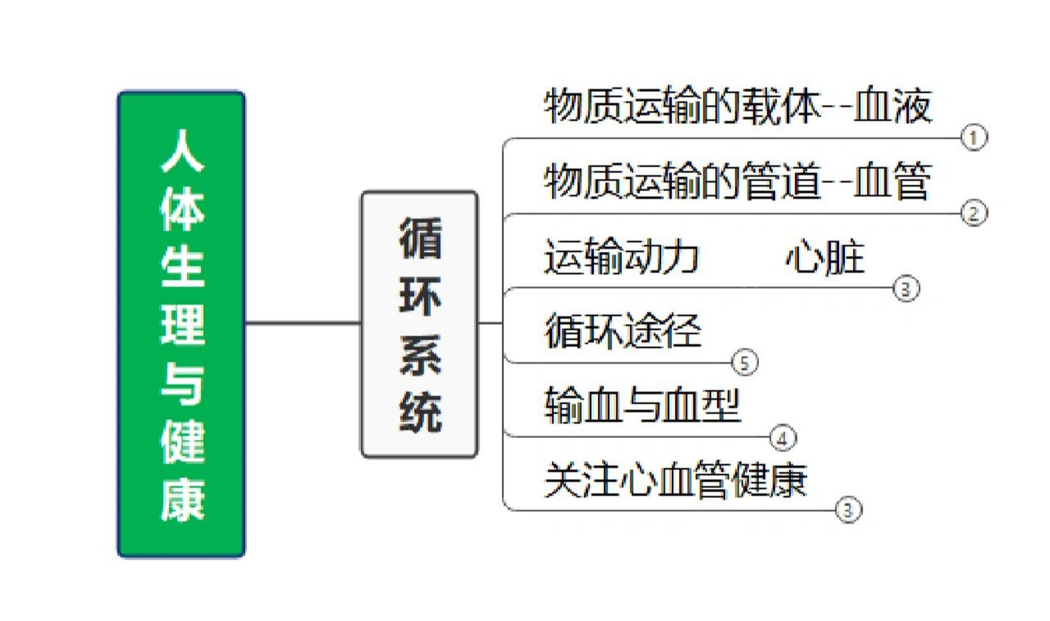 人體內物質的運輸思維導圖 魯教版五四制七年級下冊生物第四章人體內