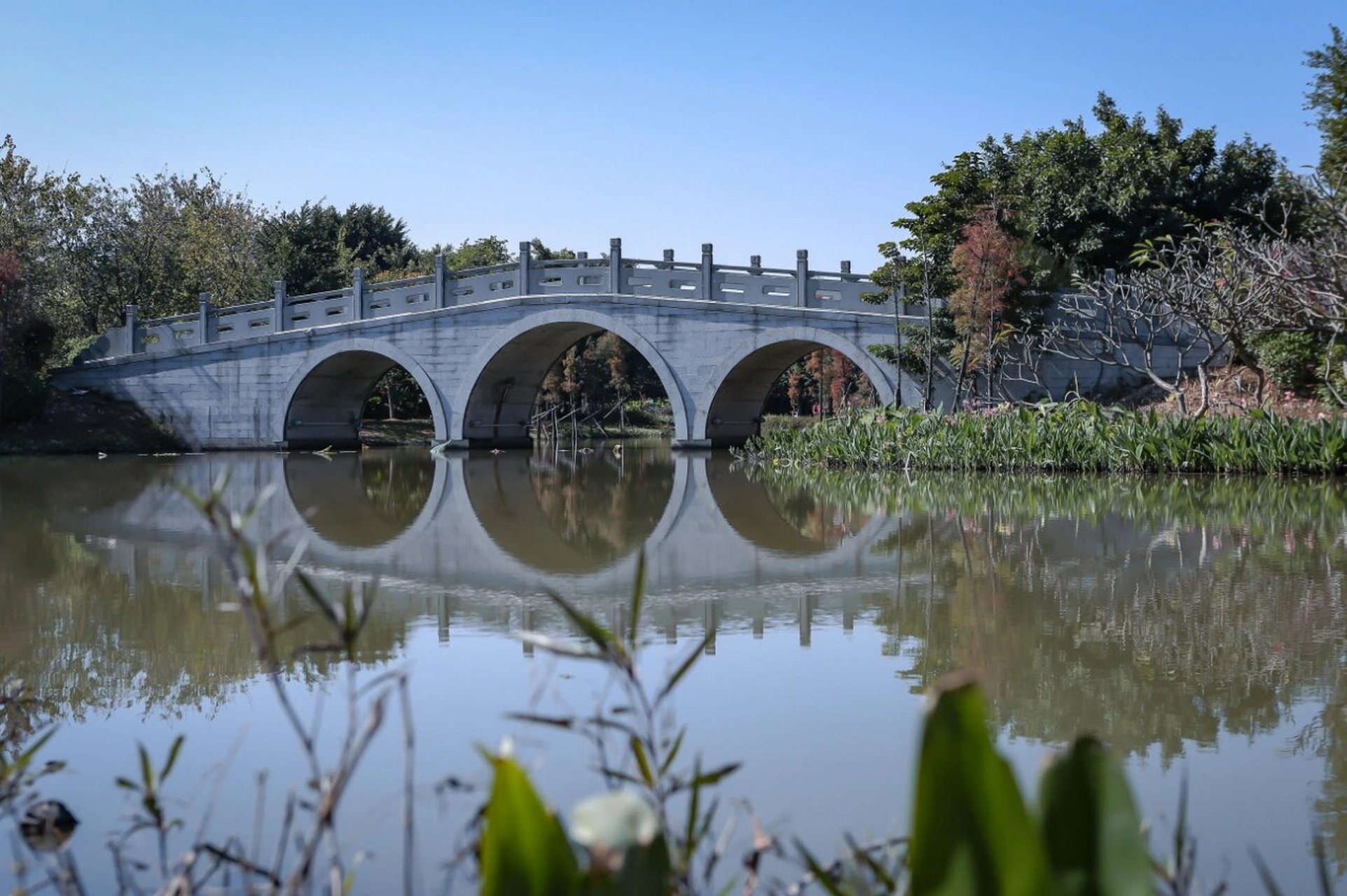华阳湖湿地公园一日游 之前跑去麻涌的华阳湖湿地公园去游玩了一天.
