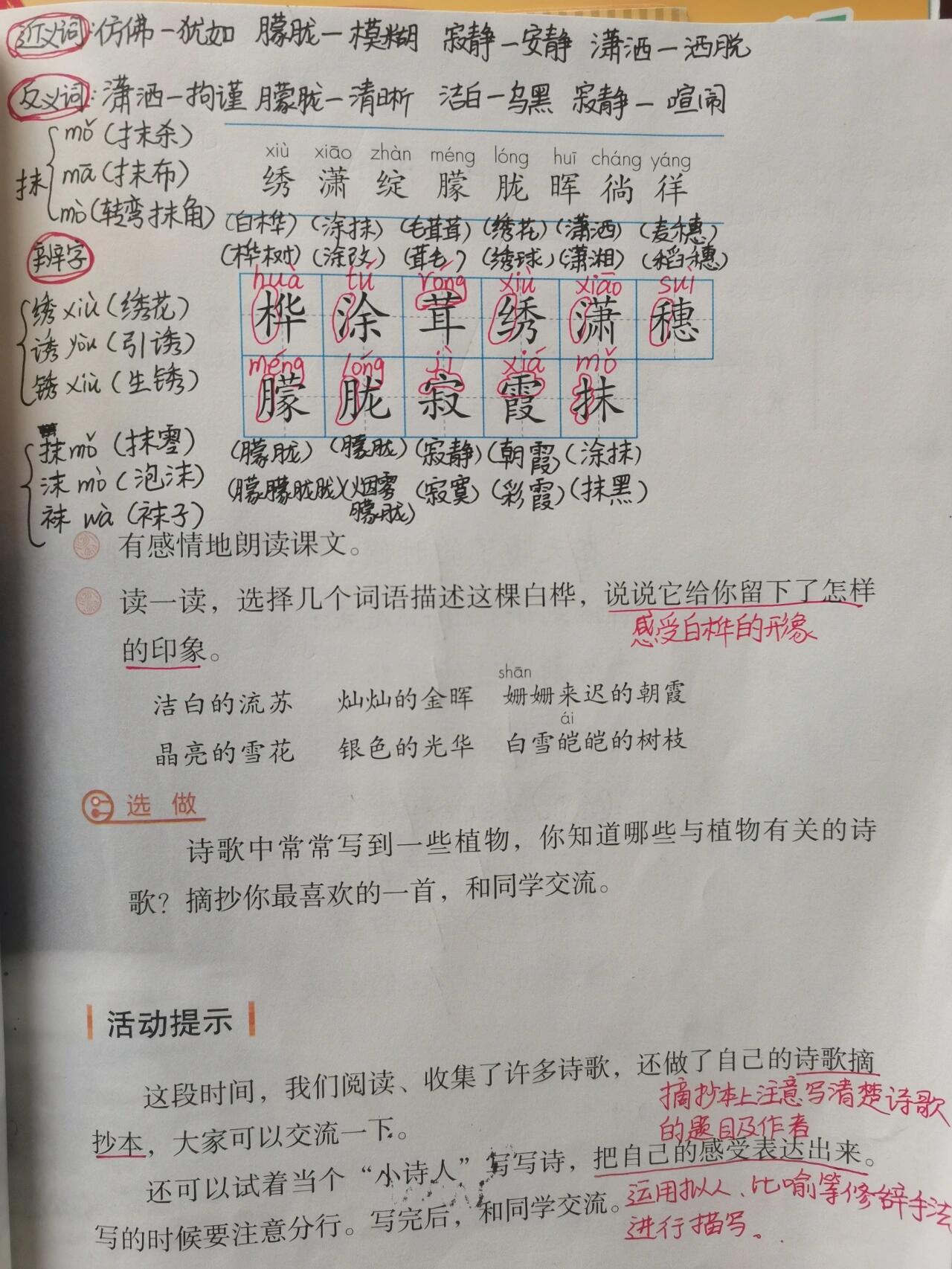 《白桦》课文笔记图片