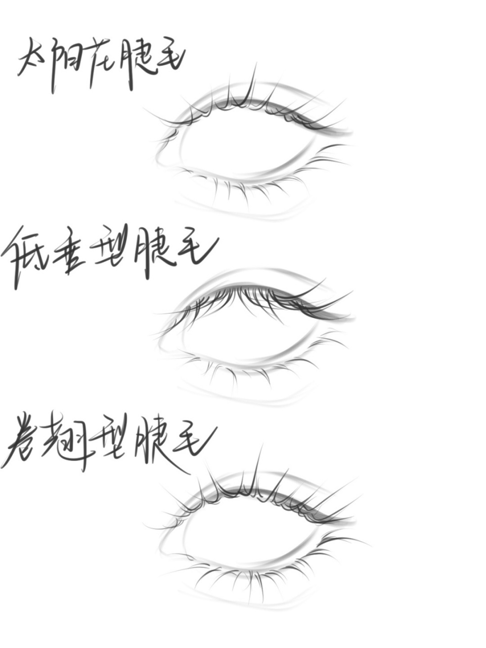 怎么画睫毛素描教程图片