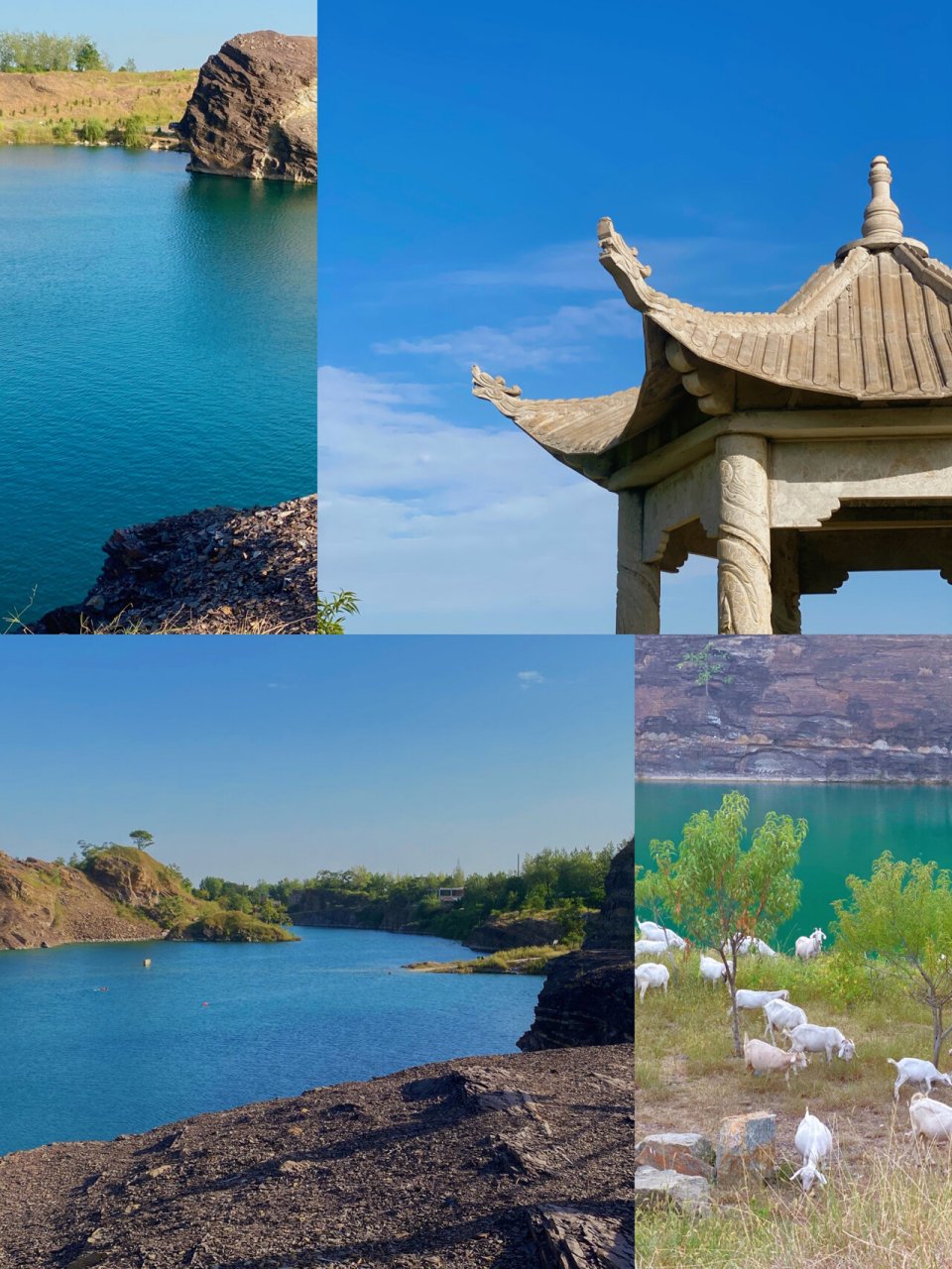 涡阳|龙山 比较幸运天气很好有风还是比较舒服的 还遇见了有人放羊