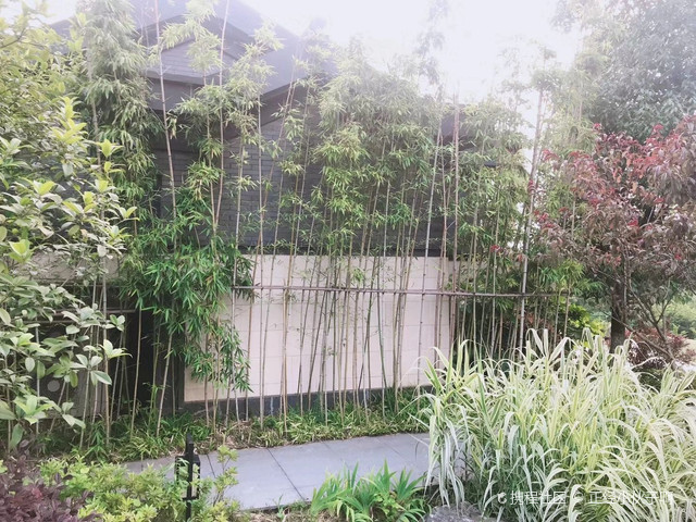 溧阳酒店推荐|天目湖涵田度假村·养心谷体验