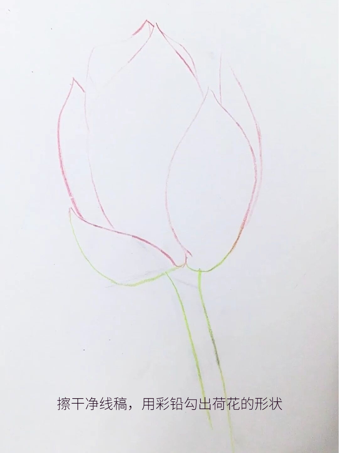 超详细的彩铅荷花96绘画教程来啦