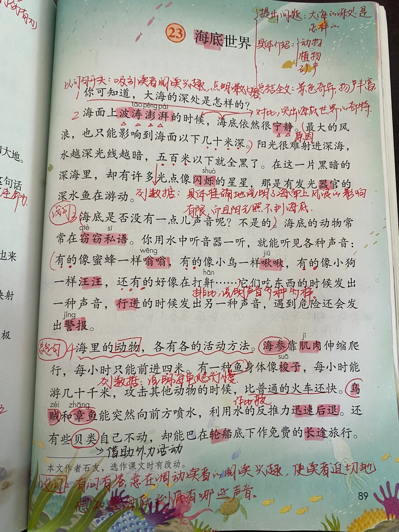 三年级下册语文第23课《海底世界》课堂笔记