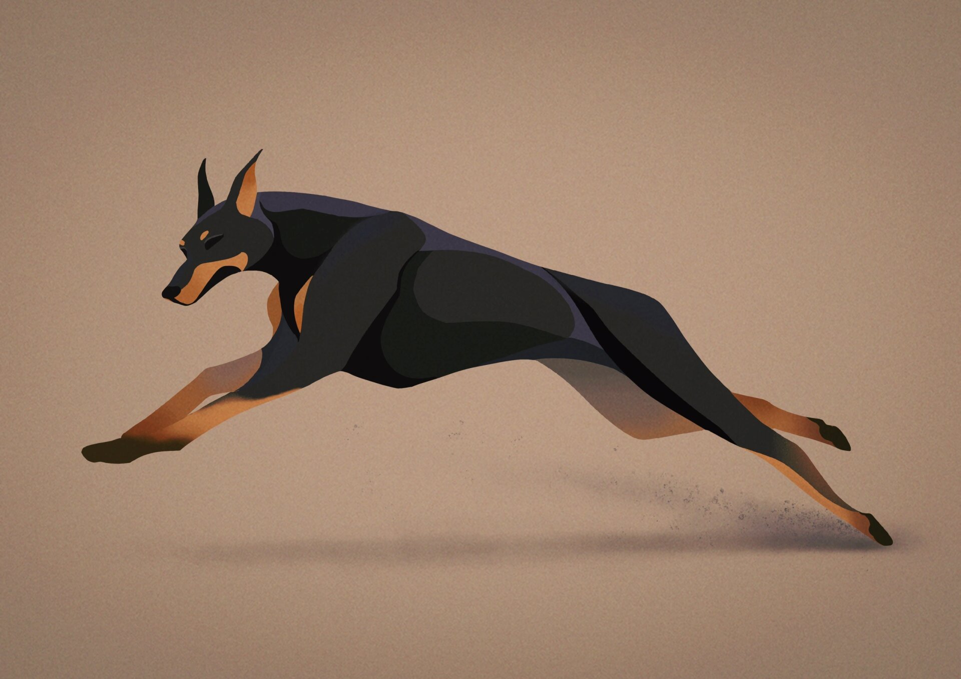 前一阵子在学校附近看到一只杜宾,虽然还是崽崽但已经帅气值拉满了