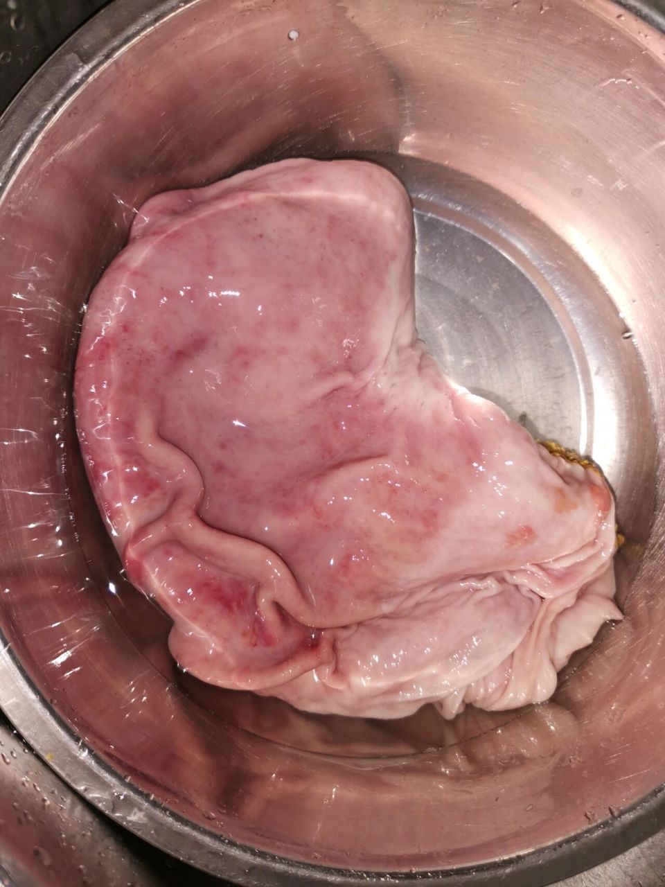 买了个猪肚好像不是很新鲜的样子 粘液都不黄,好臭,还带着红色的血渍.