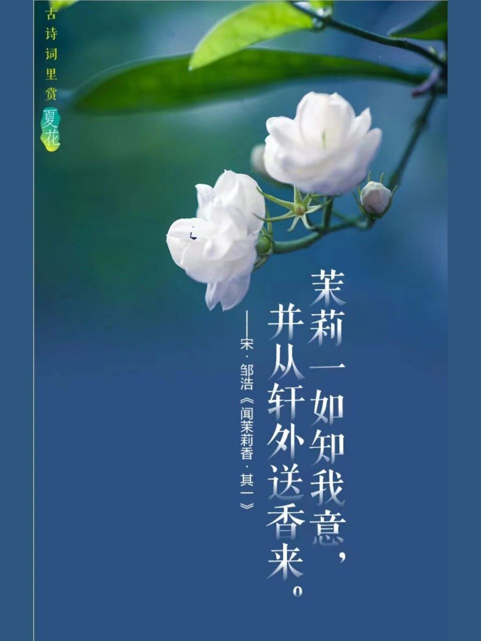 茉莉一如知我意,并从轩外送香来.