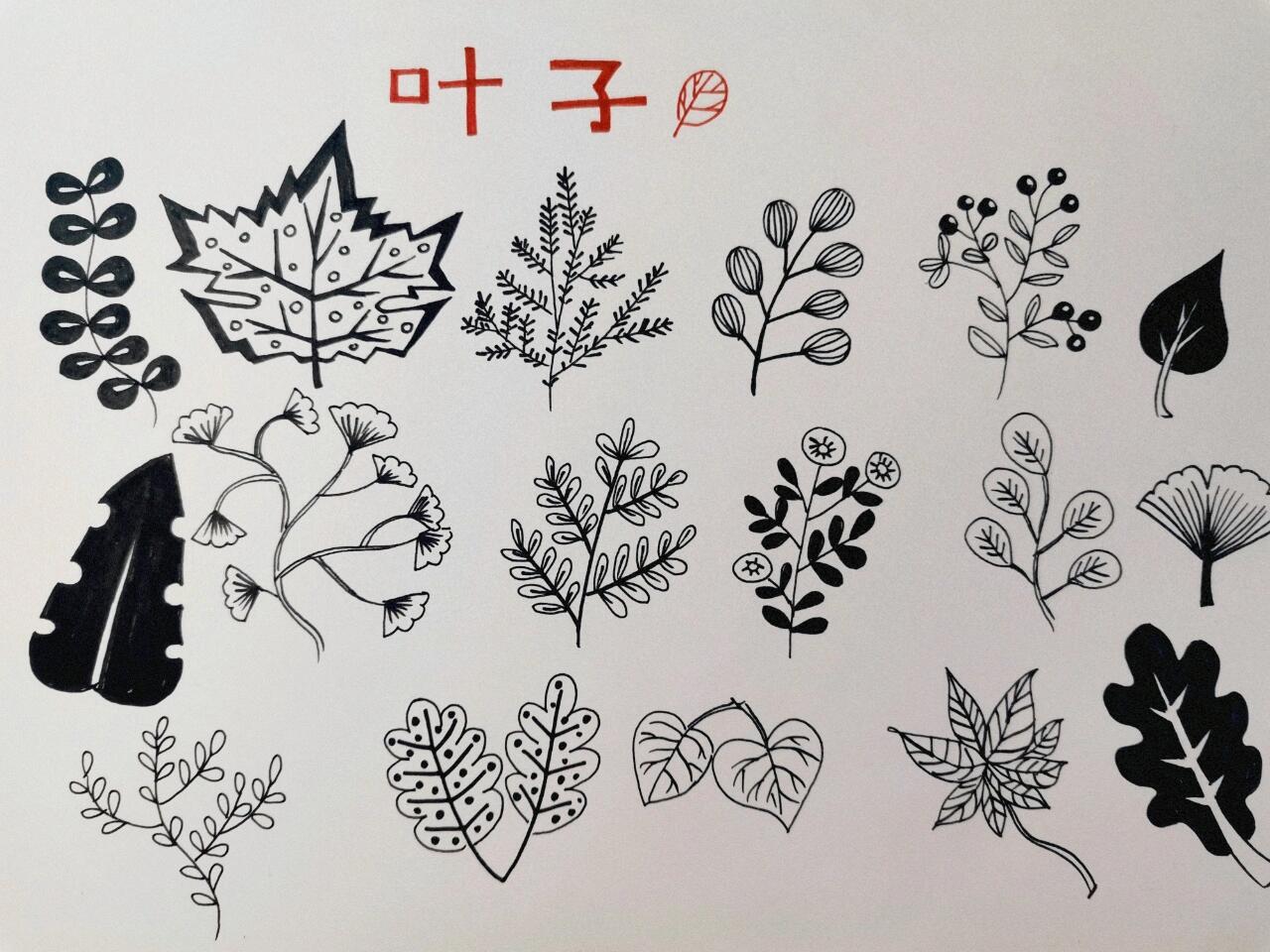 简笔画——叶子