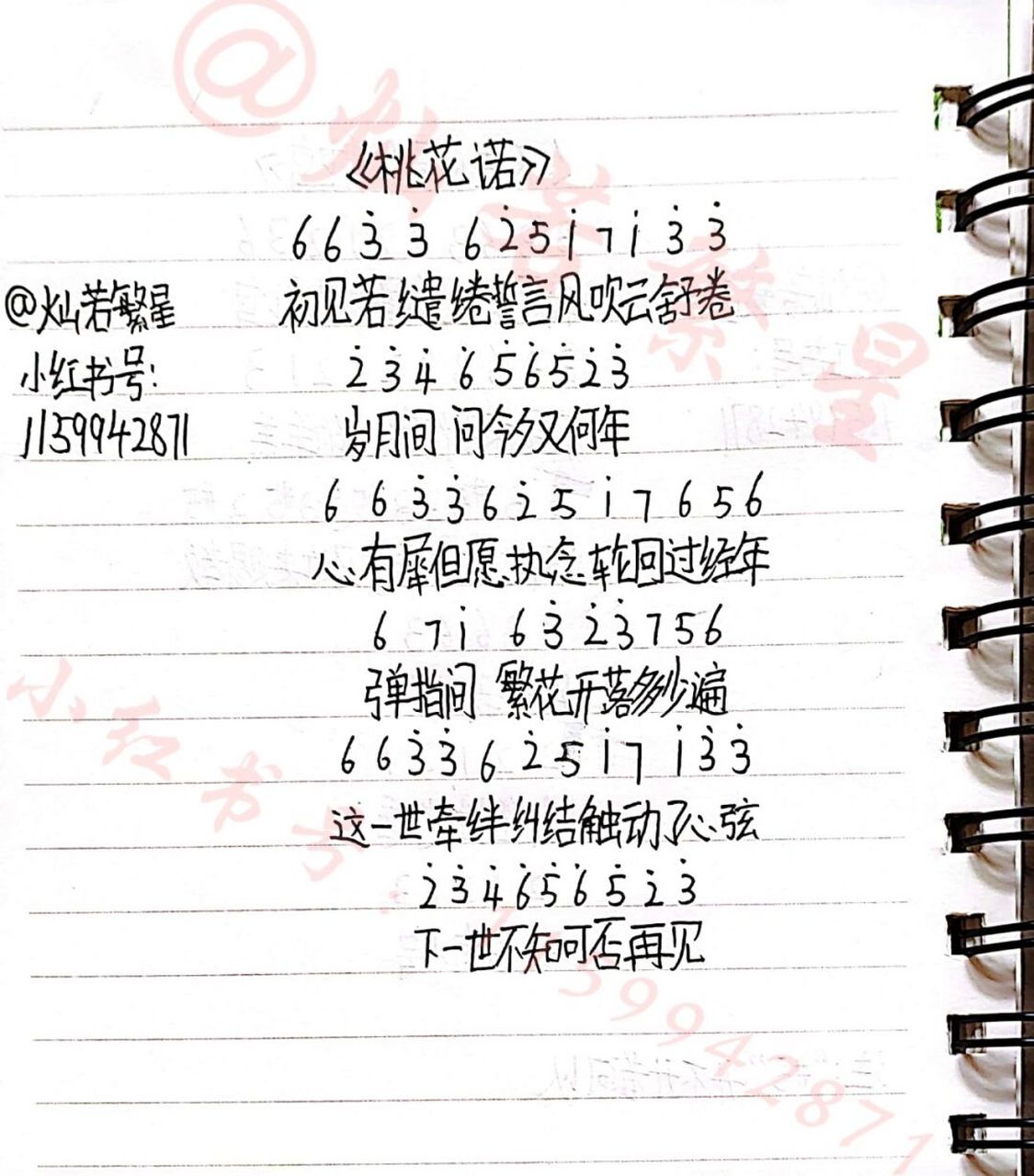 歌曲桃花诺(歌曲桃花诺邓紫棋)