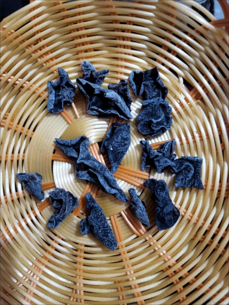 你能分辨出真假木耳吗?