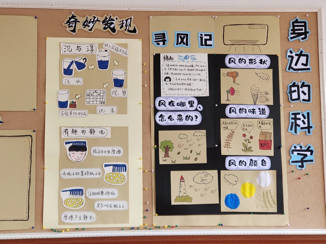 五月主题墙丨身边的科学