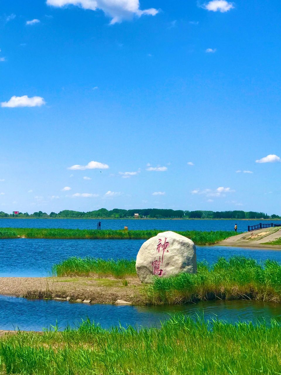 齐齐哈尔之扎龙风景区 花了将近四十个小时,坐t182次专列来到了哈尔滨