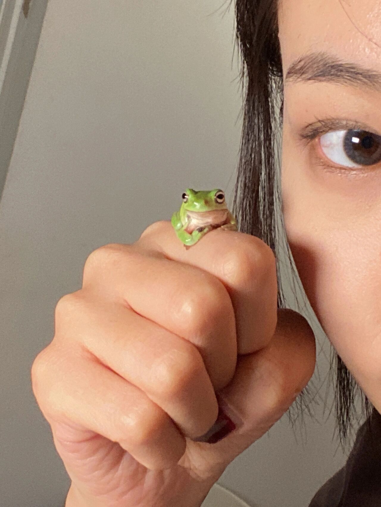 超级迷你小树蛙,我还是少让他上手吧! 今天真的没忍住