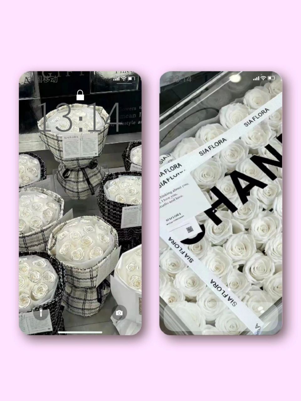 186组ins高级感唯美小清新玫瑰花手机壁纸