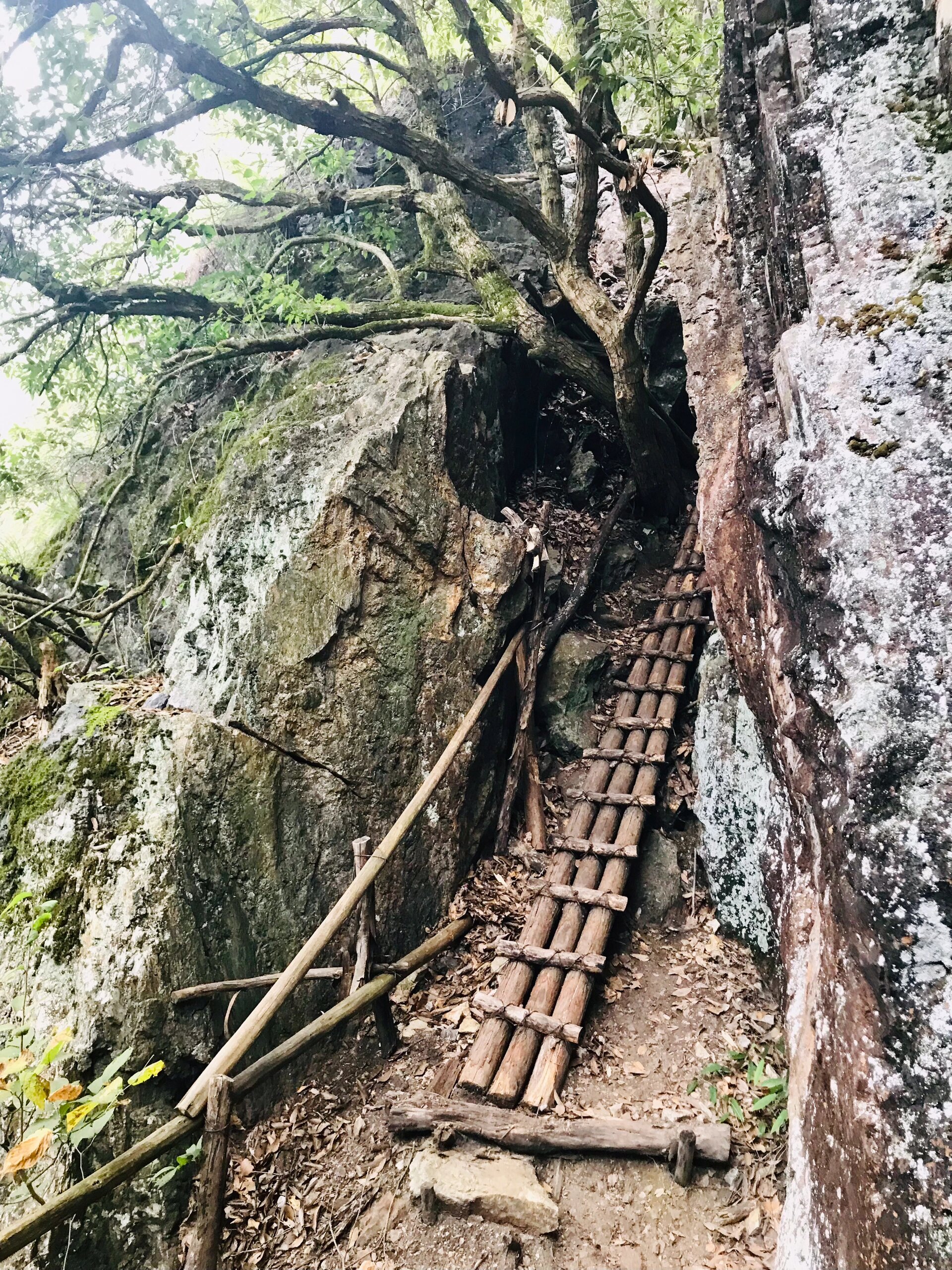 皖南 黄山小众景点:祁门燕山 祁门燕山是位于安徽省最南端的山峰,黄山