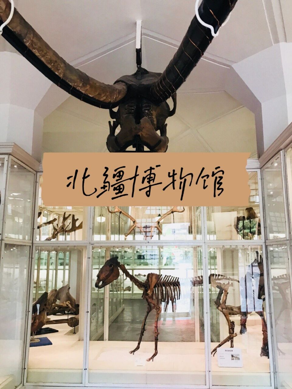 天津自然博物馆观后感图片
