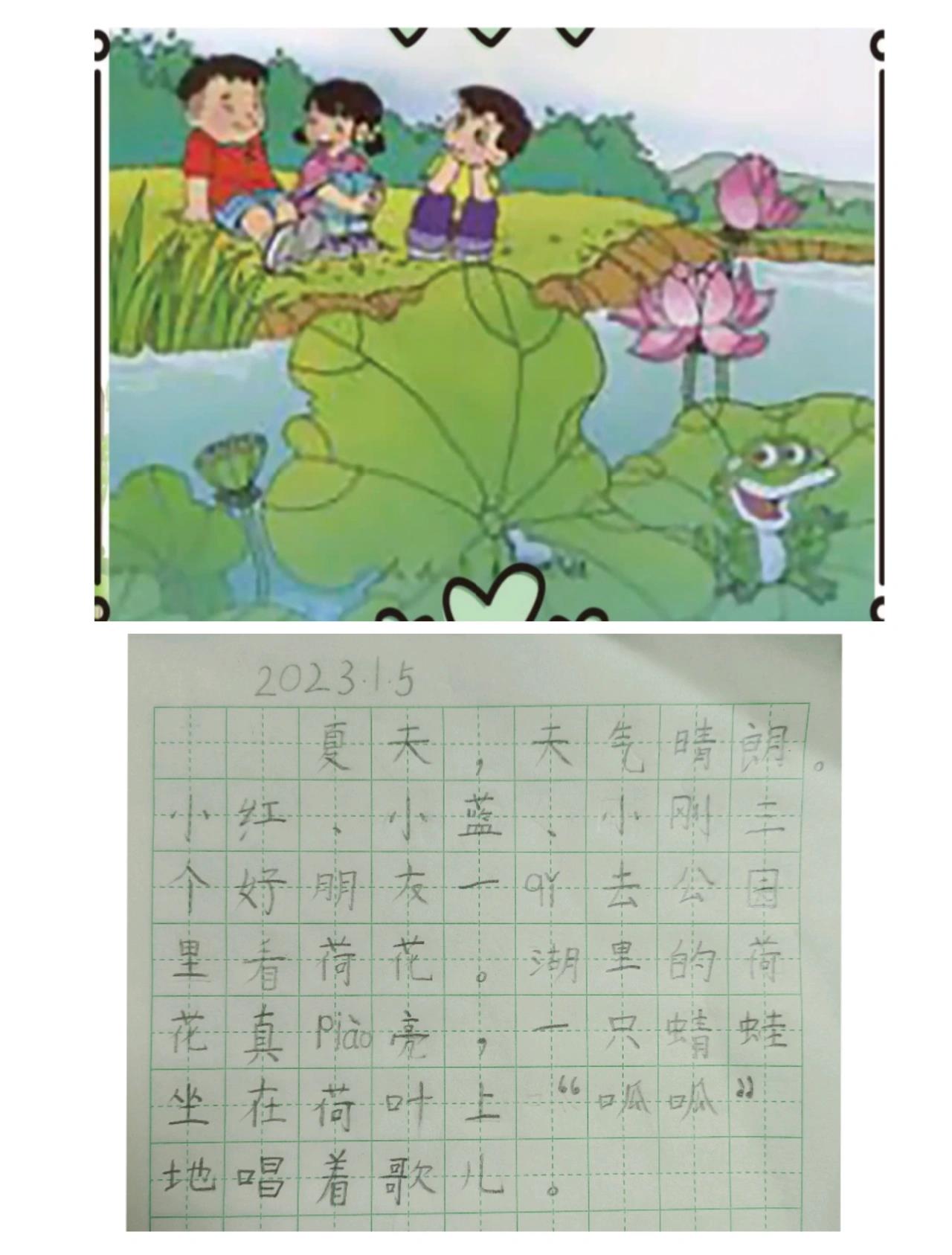 05一年级看图写话 荷花