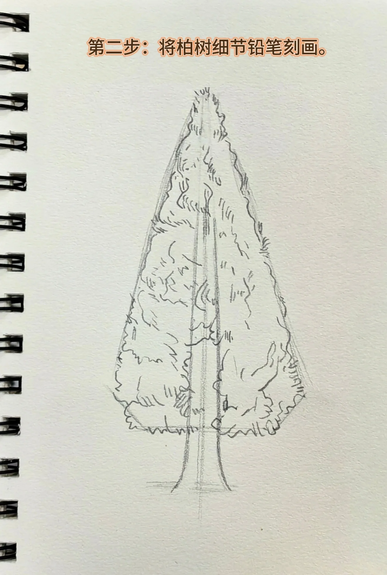 三步画柏树,新手变大师,也太简单了吧