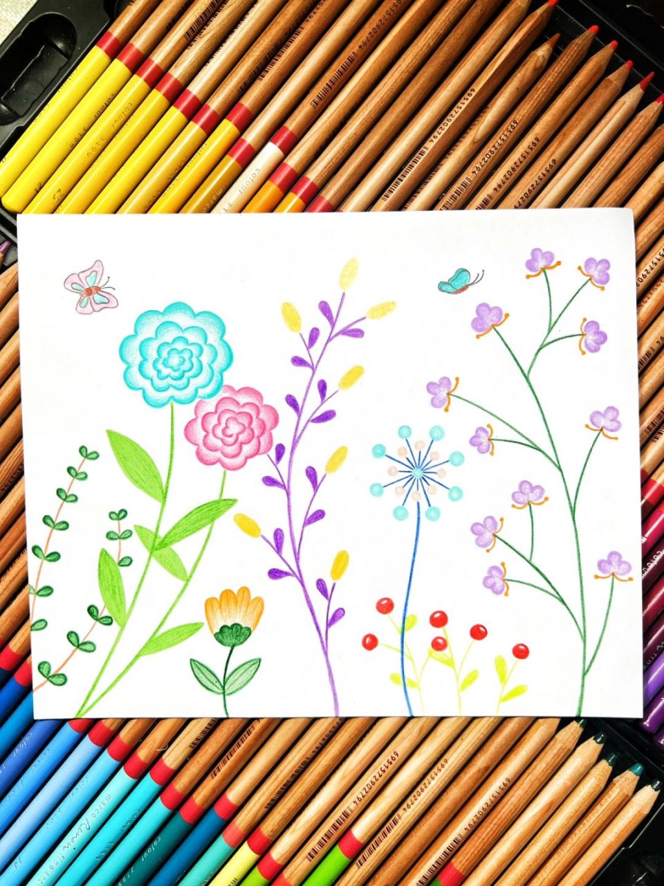 花花草草简笔画(彩铅手绘) #简笔画# #简笔画教程# #儿童简笔画