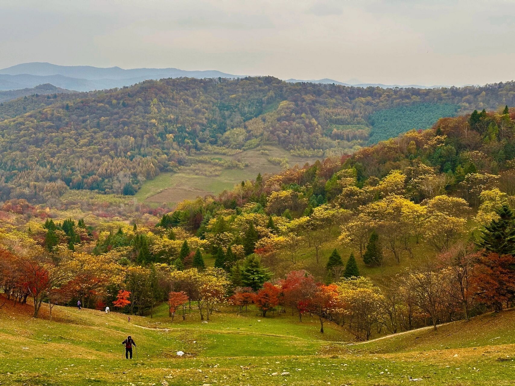 追寻长白山秋色第一弹|看溪谷层林尽染 位于白山市临江市的溪谷风景区