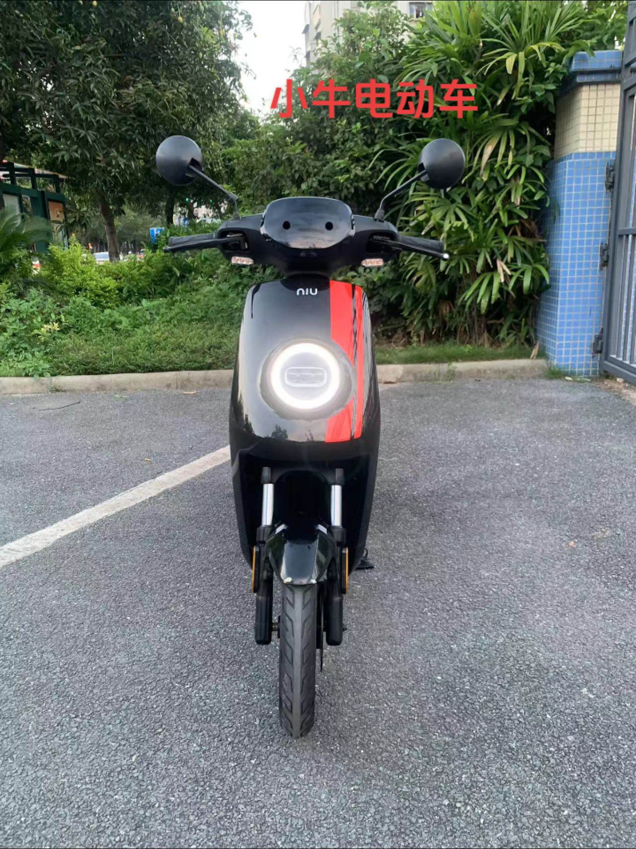 小牛电动车 mqis 顶配版,￥3299