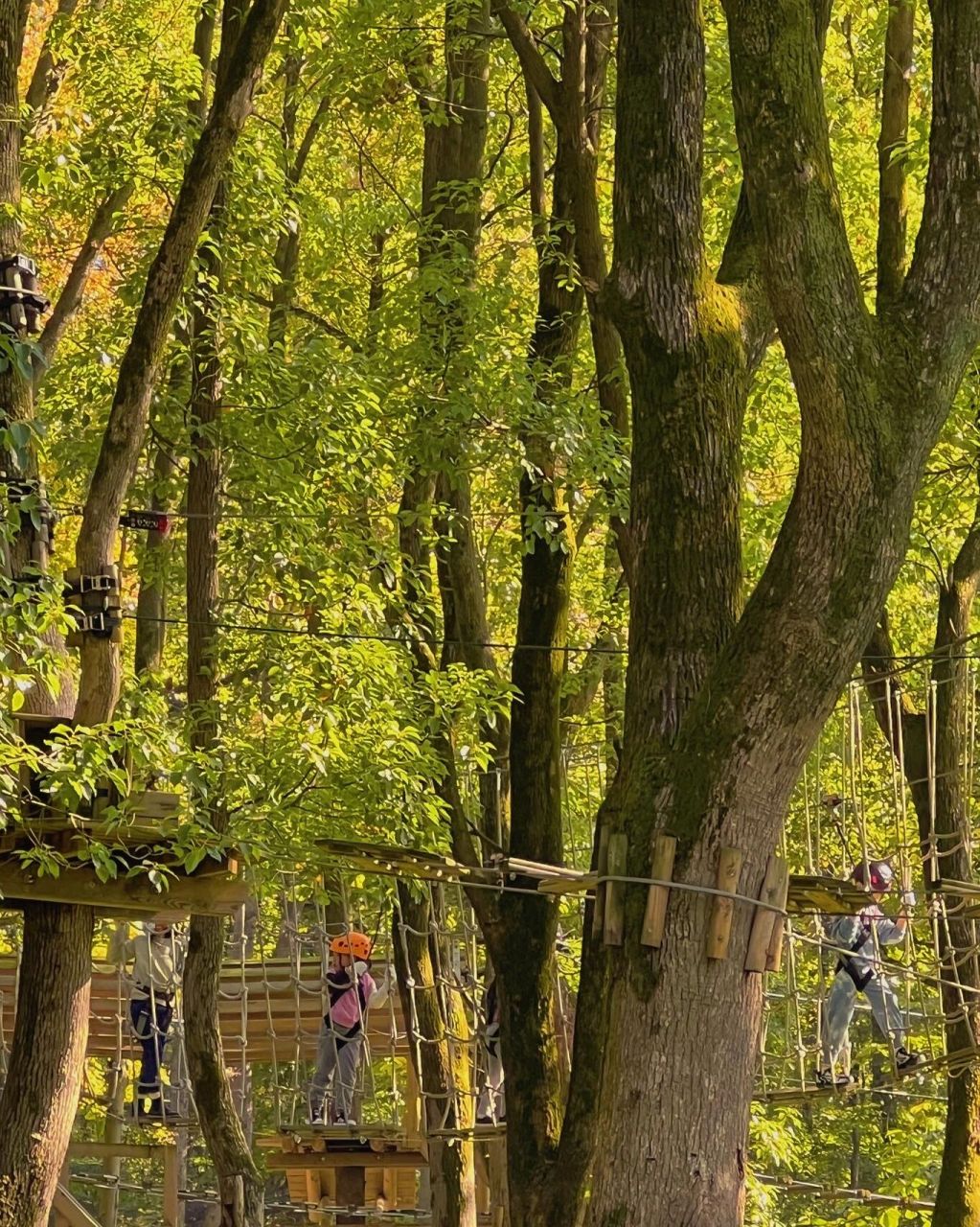 紫金山探险公园 天气刚刚好7815 如果这里有个孩子,我觉得自己
