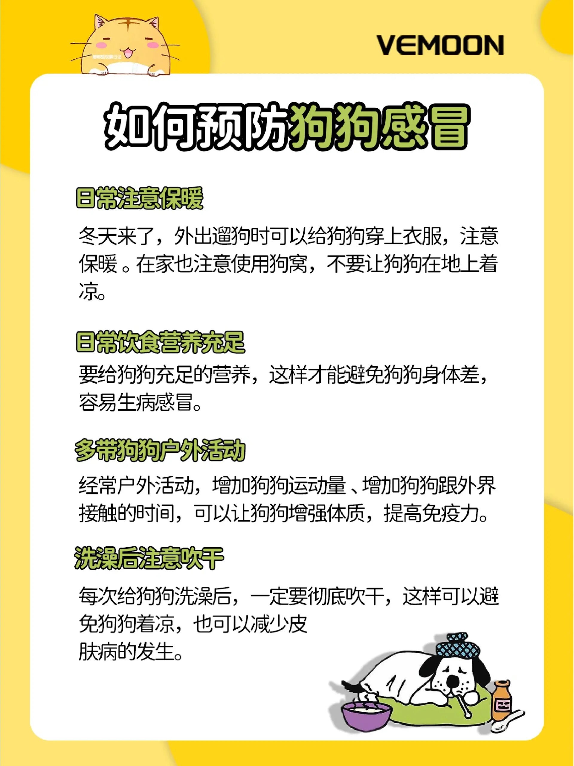 狗狗感冒发烧怎么办05自行判断处理 今天就来教大家遇到狗狗感冒该