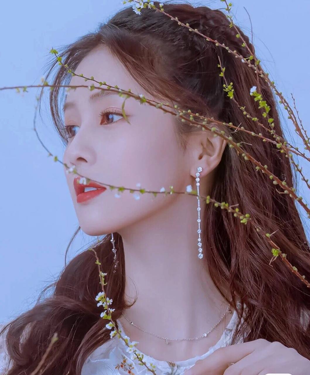 白鹿头像 好美腻呀