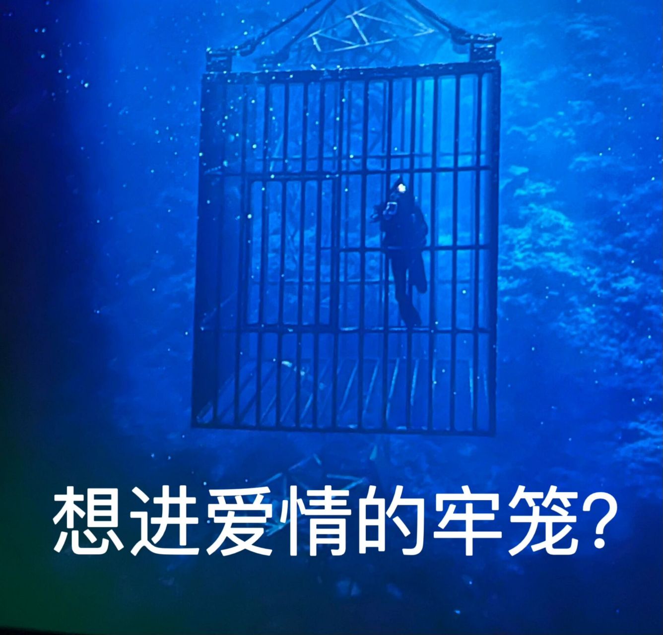 《消失的她》系列表情包上线    拿走 不谢,快给你们恋爱脑闺蜜安排上