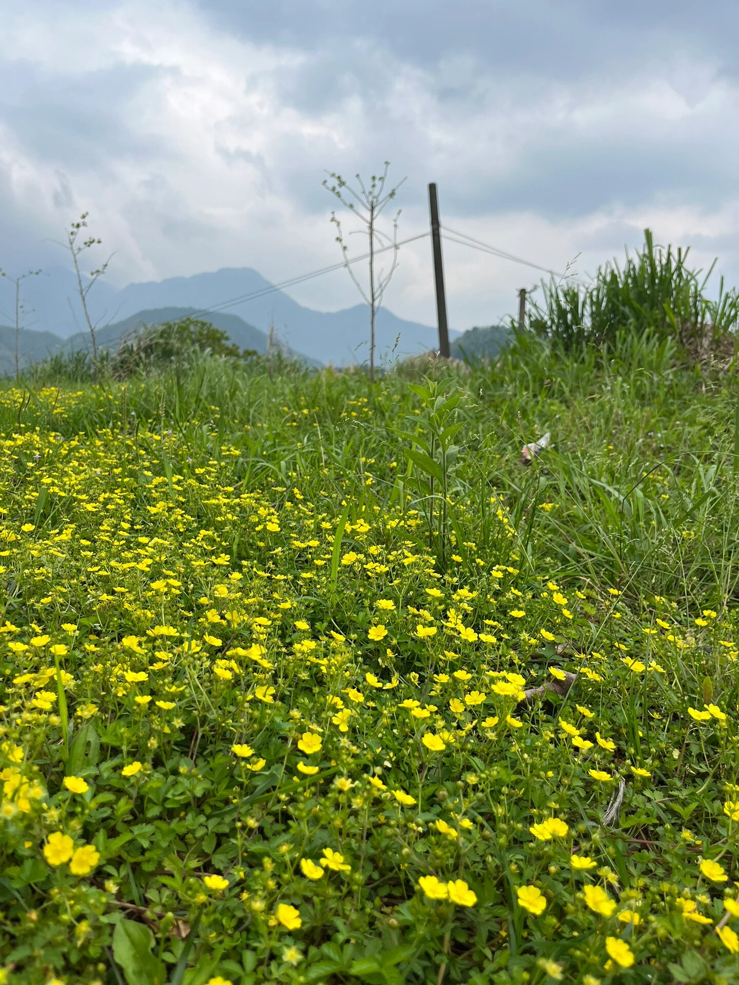 江西宜春水口村