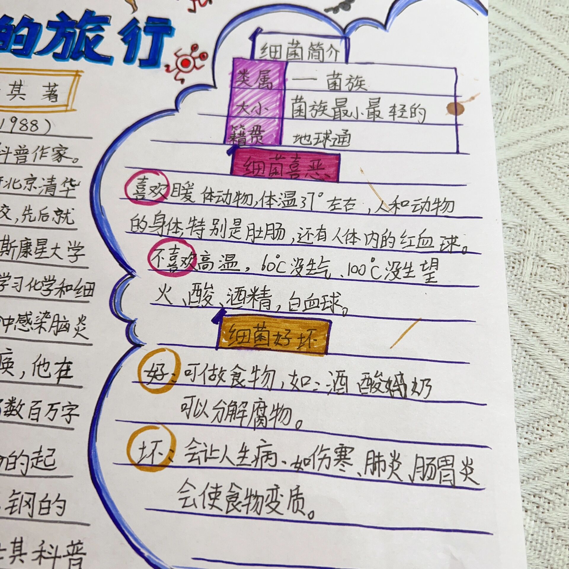 四下阅读导图《细菌世界历险记灰尘的旅行