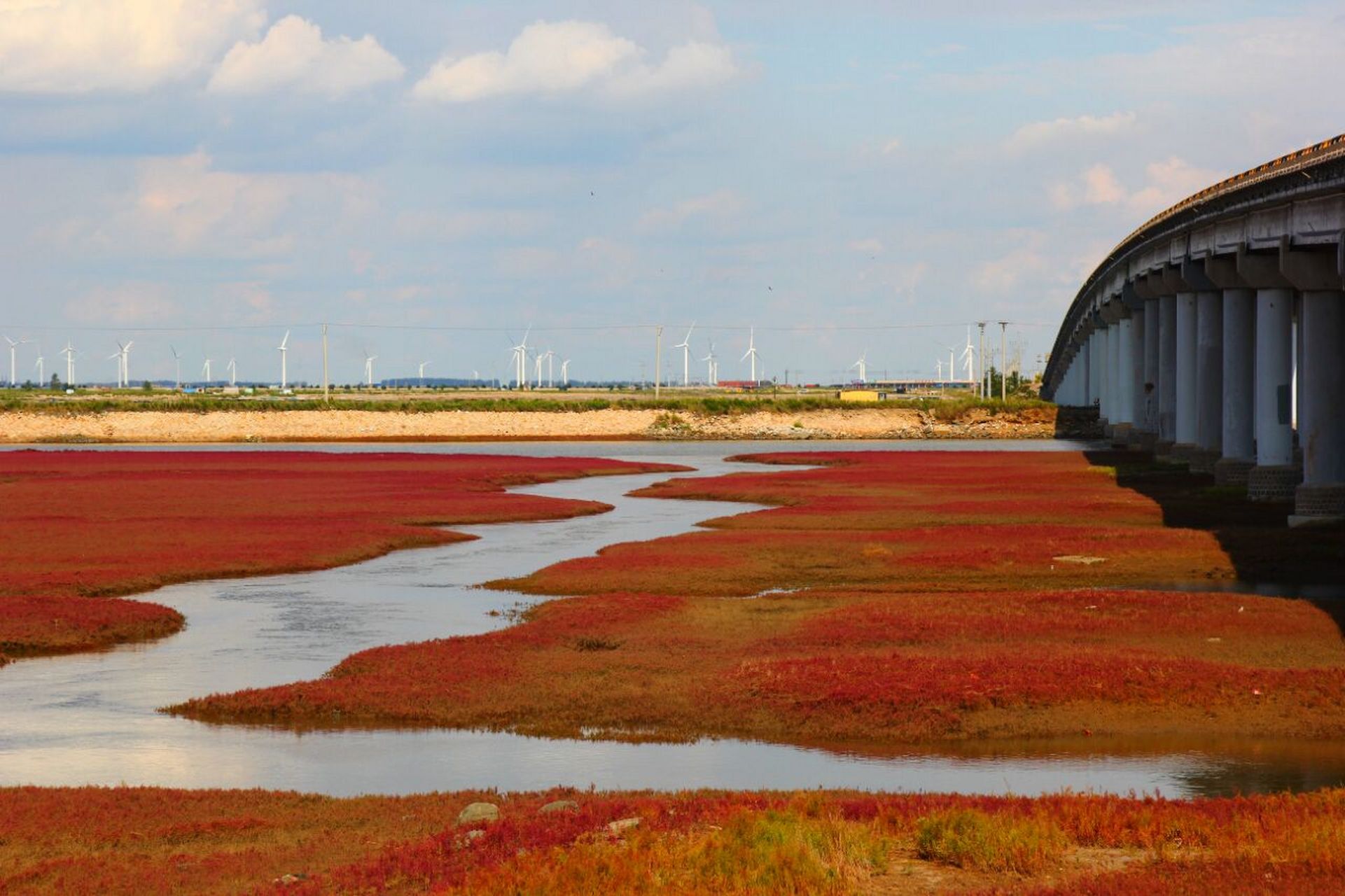 秋天的颜色|锦州红海滩,免费,没有门票 从笔架山到锦州凌海红海滩,一