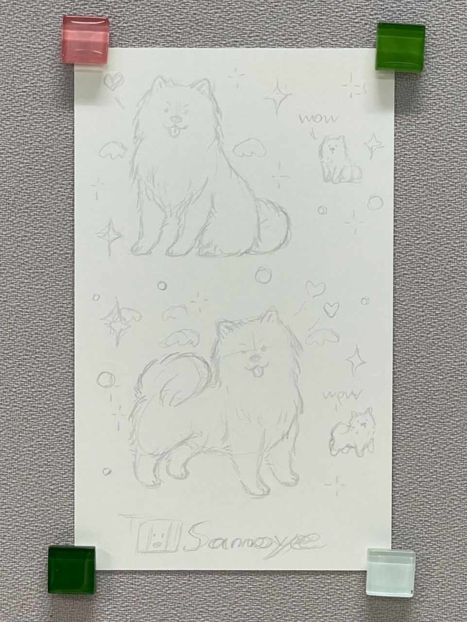98狗狗简笔画100-26|萨摩耶 狗狗简笔画第26弹!