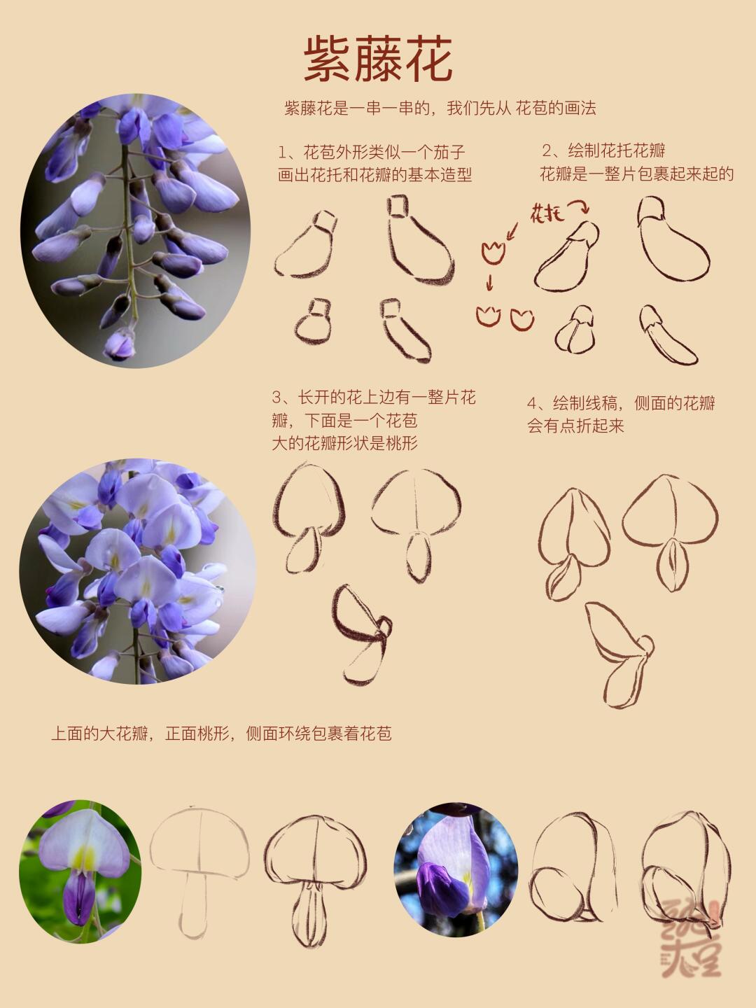 紫藤花手绘教程图片