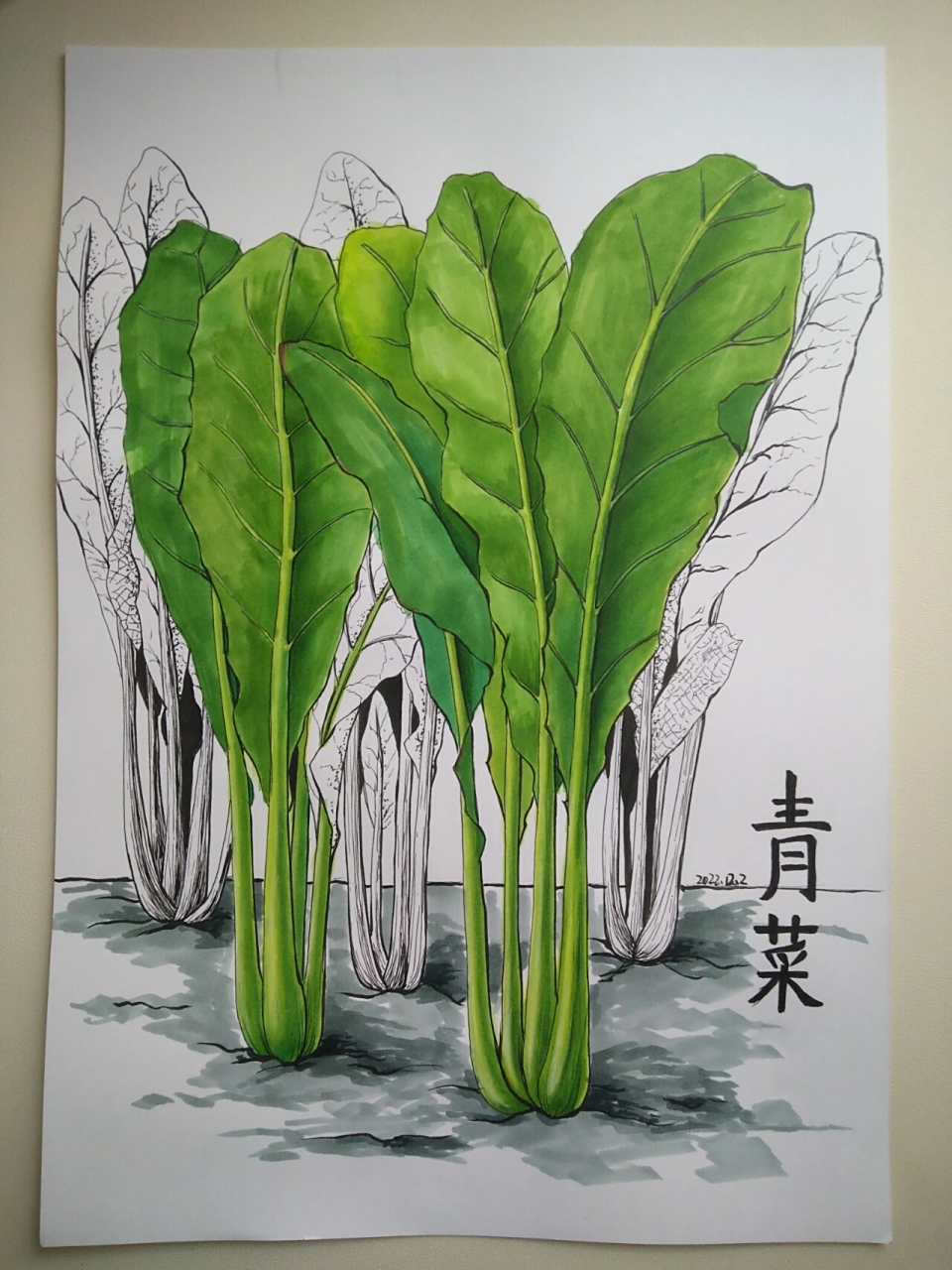 青菜绘画线描马克笔插画装饰画儿童画原创 喜欢绿色系,所以来一幅绿油