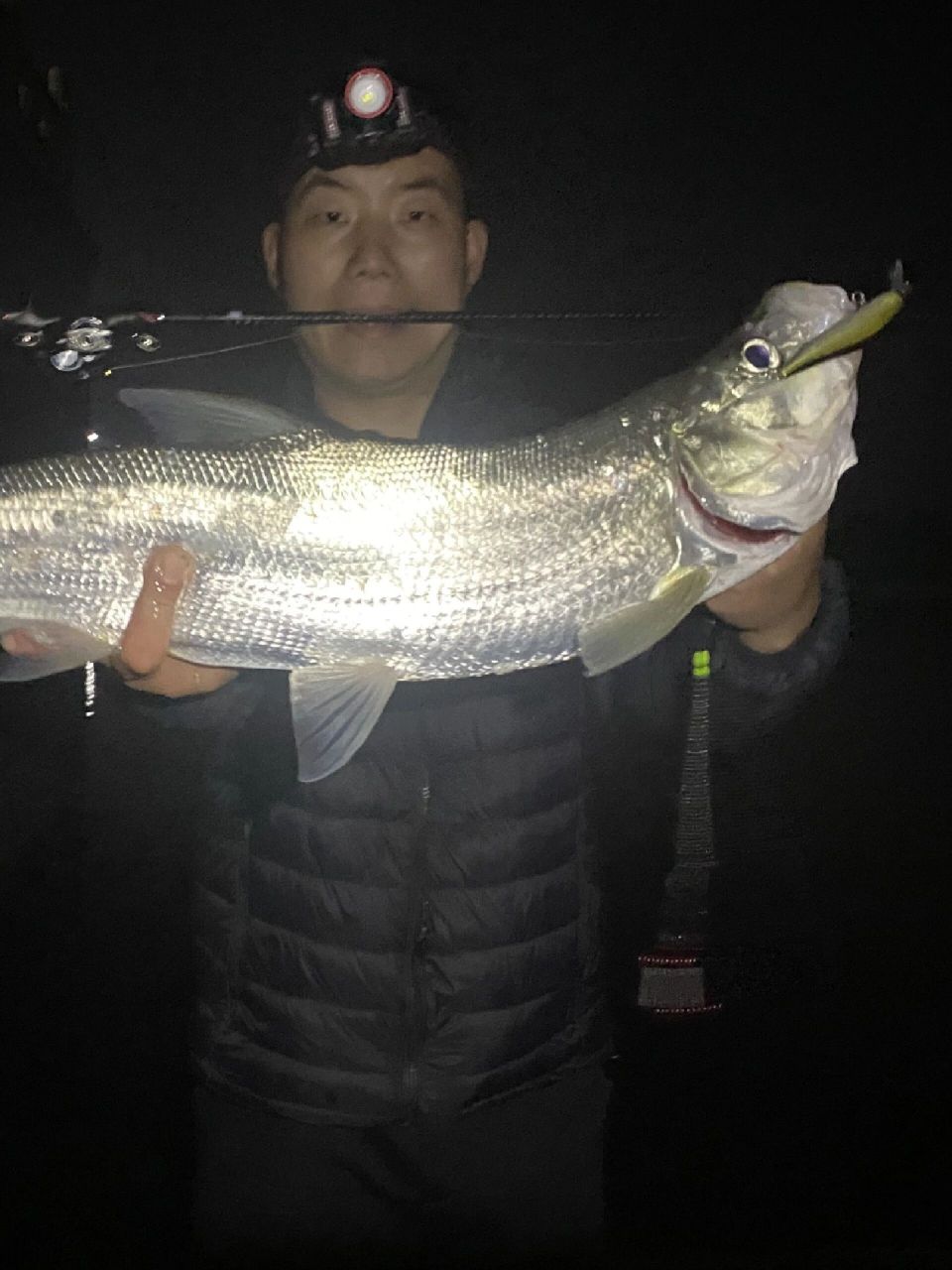 银刀缓沉米诺是路亚夜钓翘嘴最好用的假饵