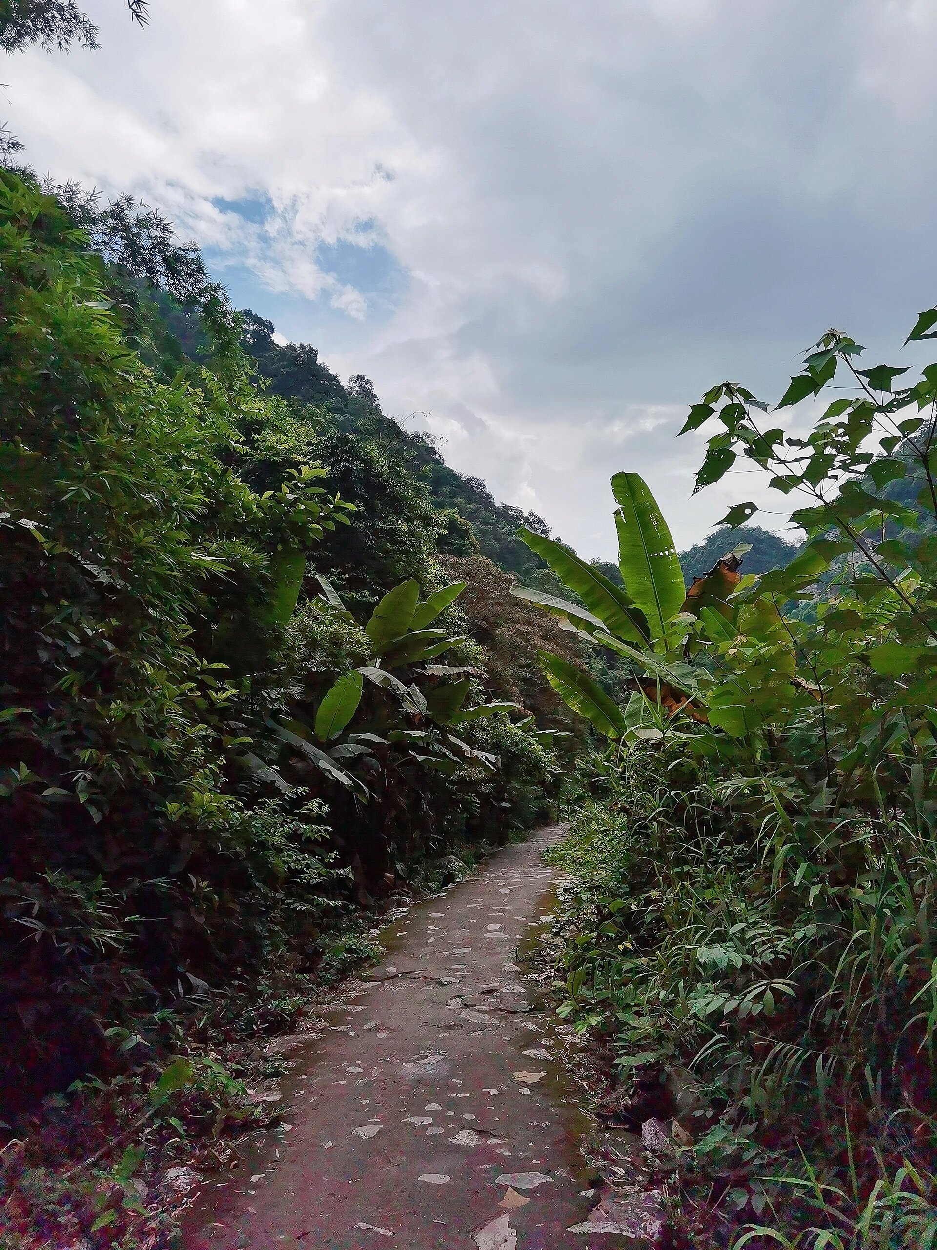 广西金秀-古沙沟