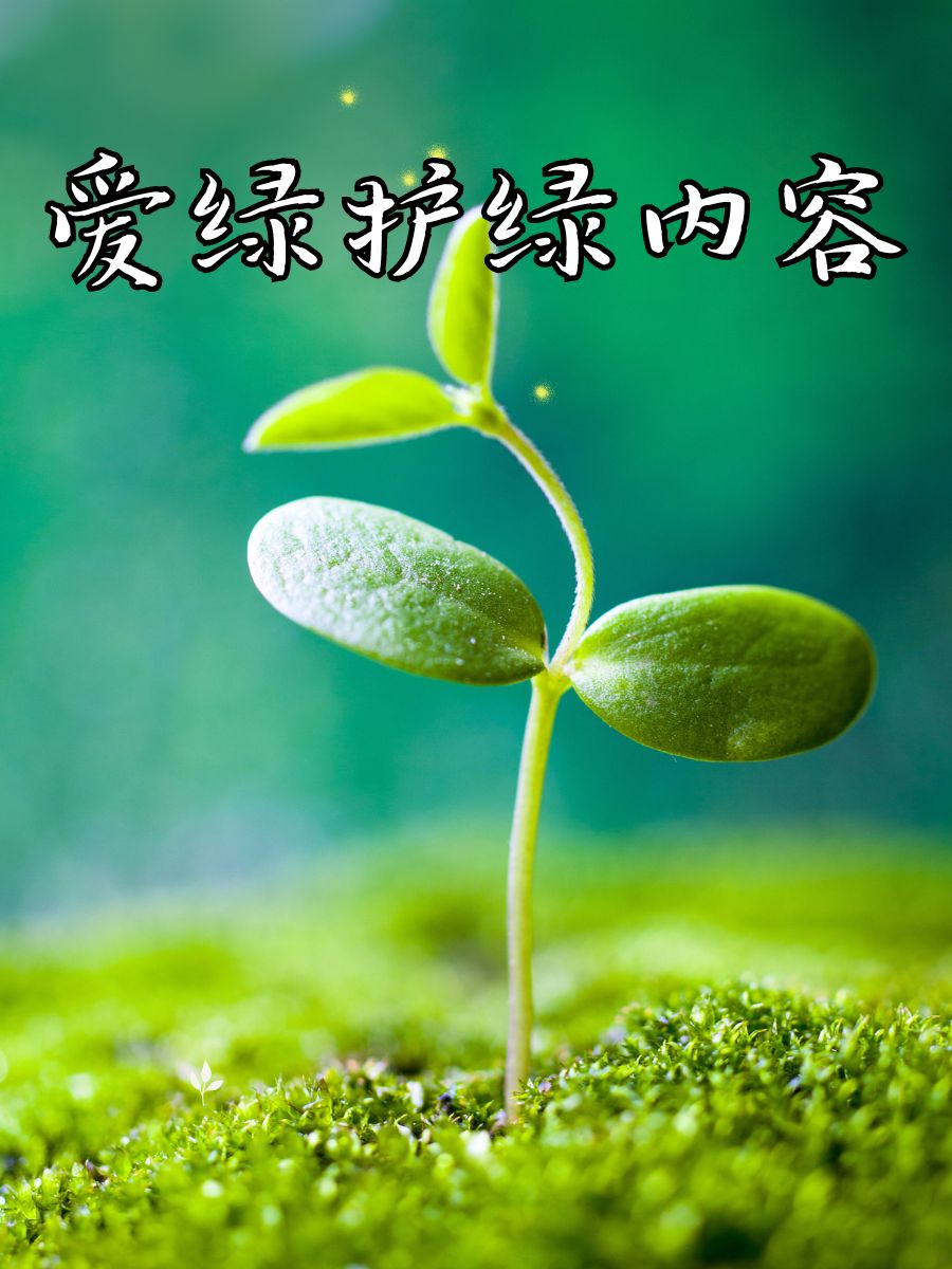 爱绿护绿内容 守护地球,从我做起 种一棵树,收获绿色希望 低碳出行