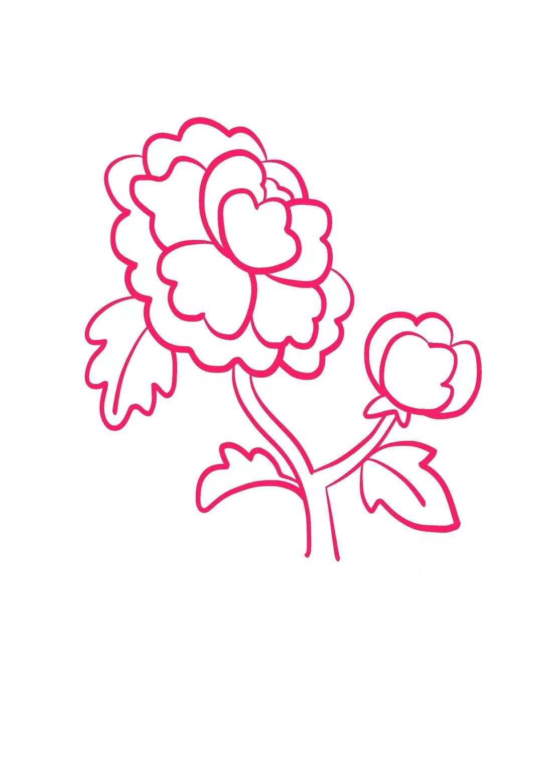 牡丹花简笔画
