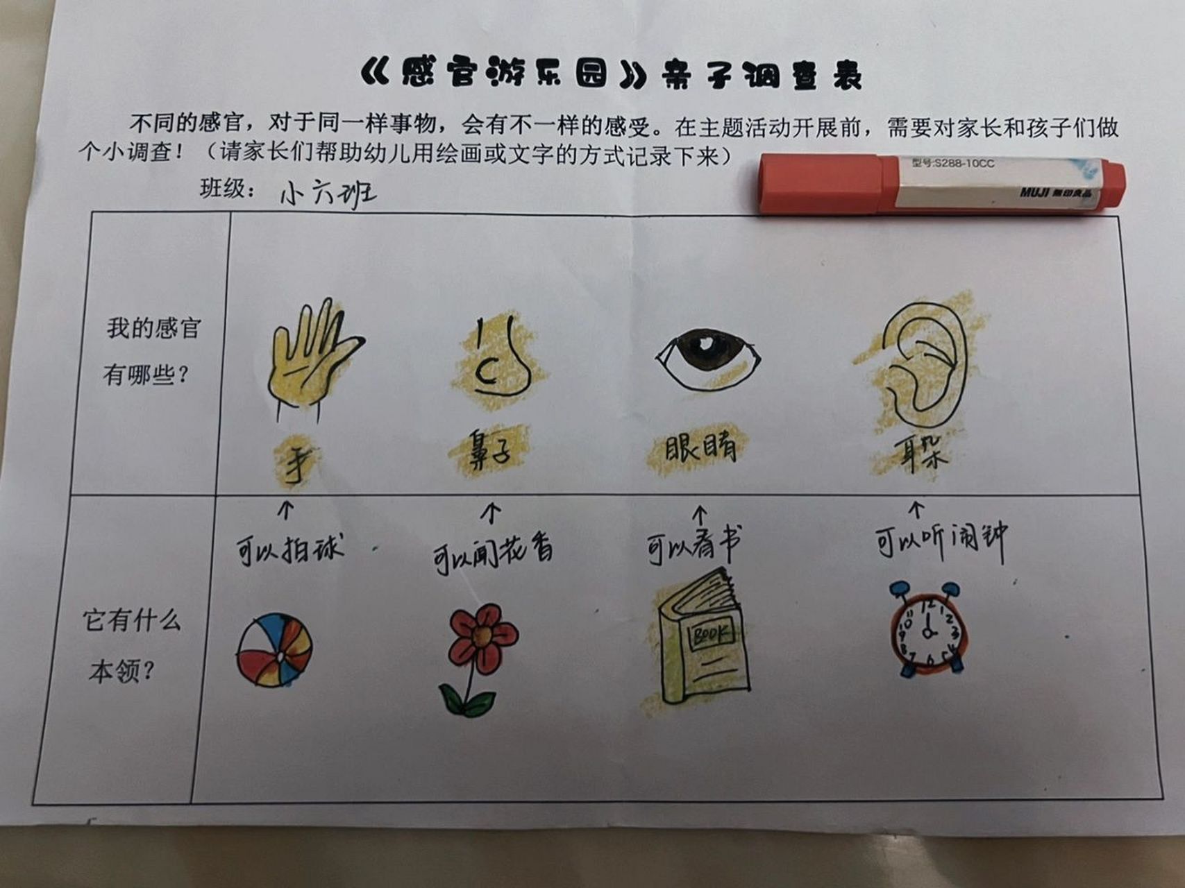 《感官游乐园》亲子调查表    献丑了