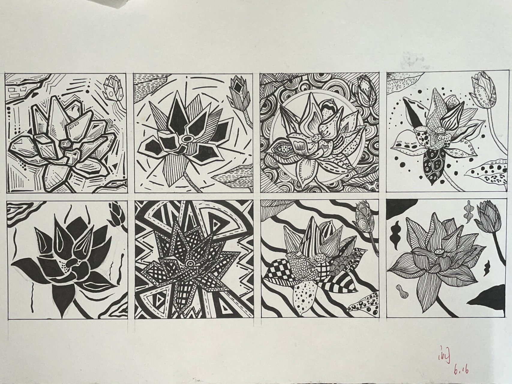 花卉变形设计 图案设计第一节课作业 花卉变形