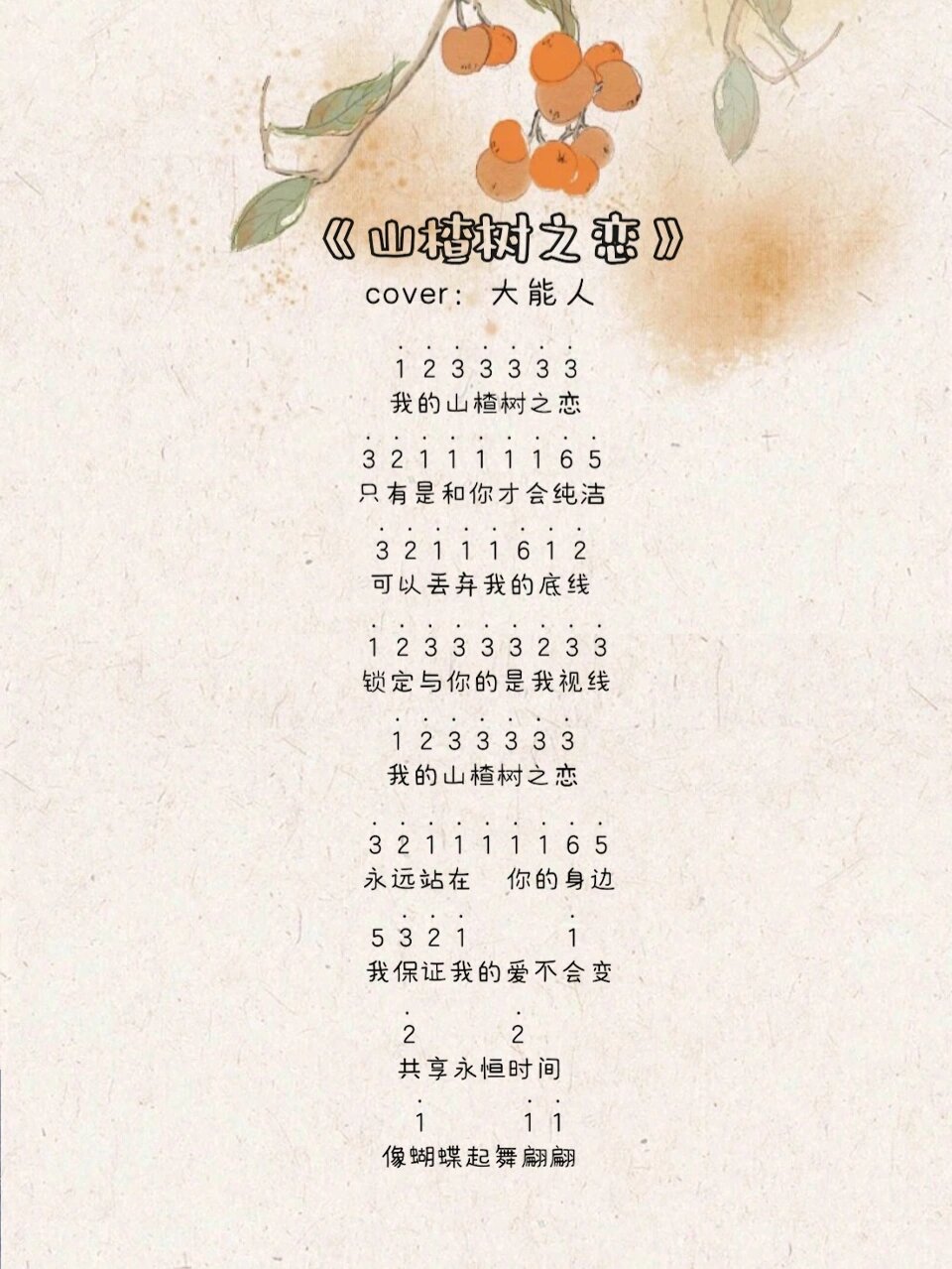 我的山楂树之恋歌词完整版