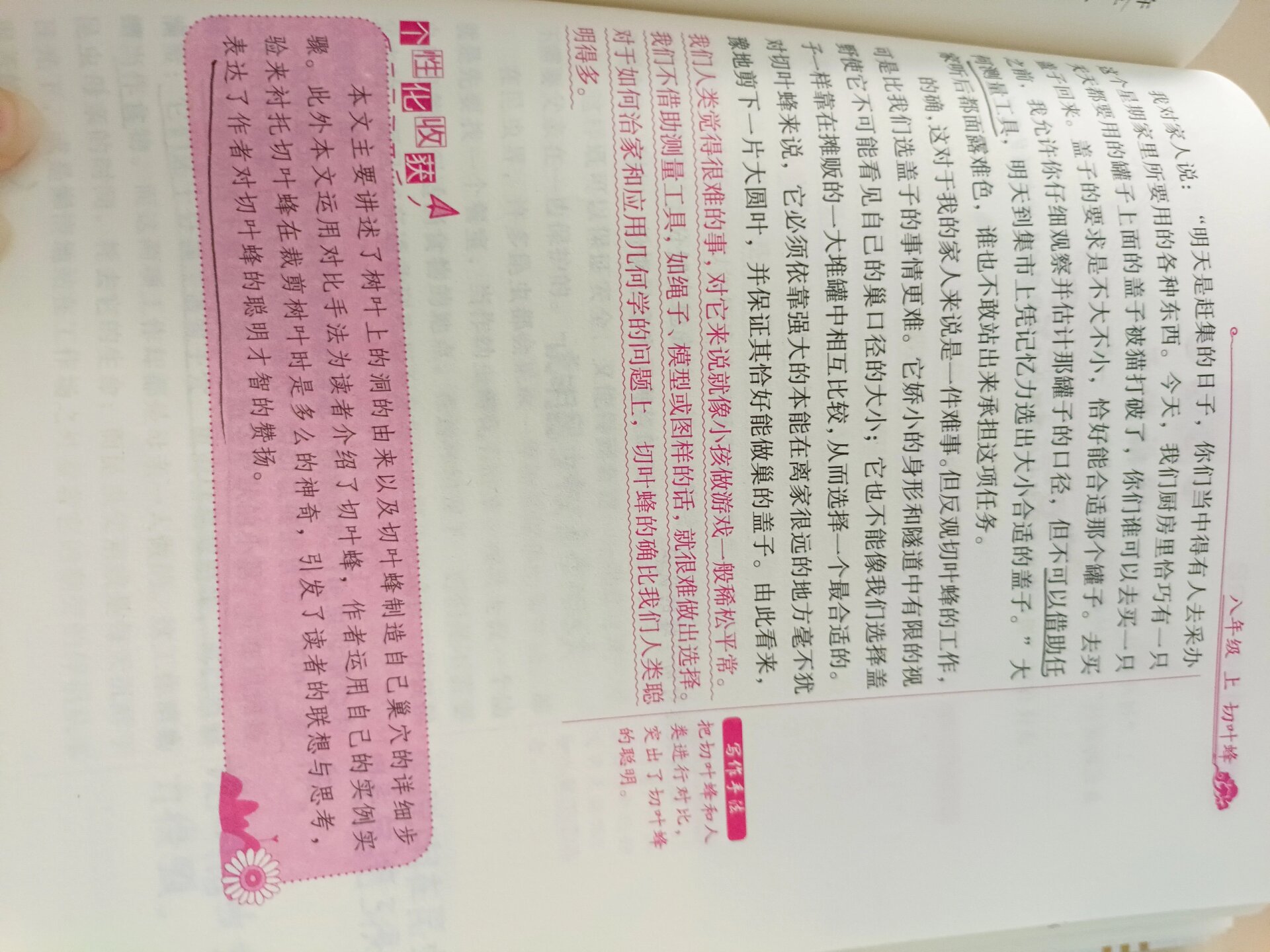 《昆虫记》第十五章切叶蜂