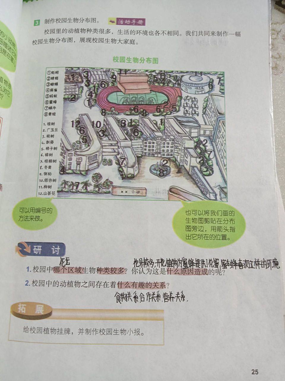 六下科学┃2.2制作校园生物分布图