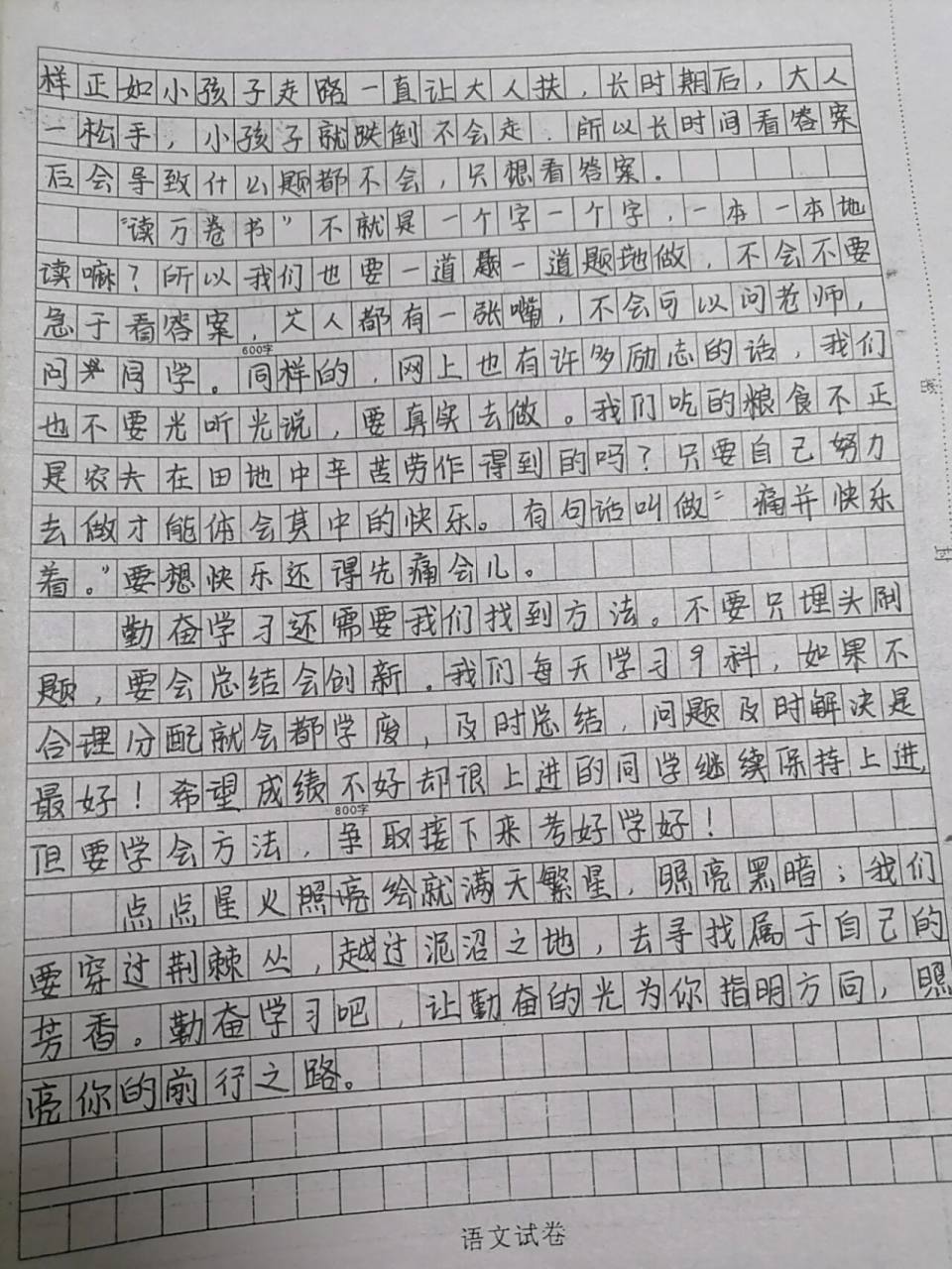 关于"勤奋学习"议论文99高一水平作文800字