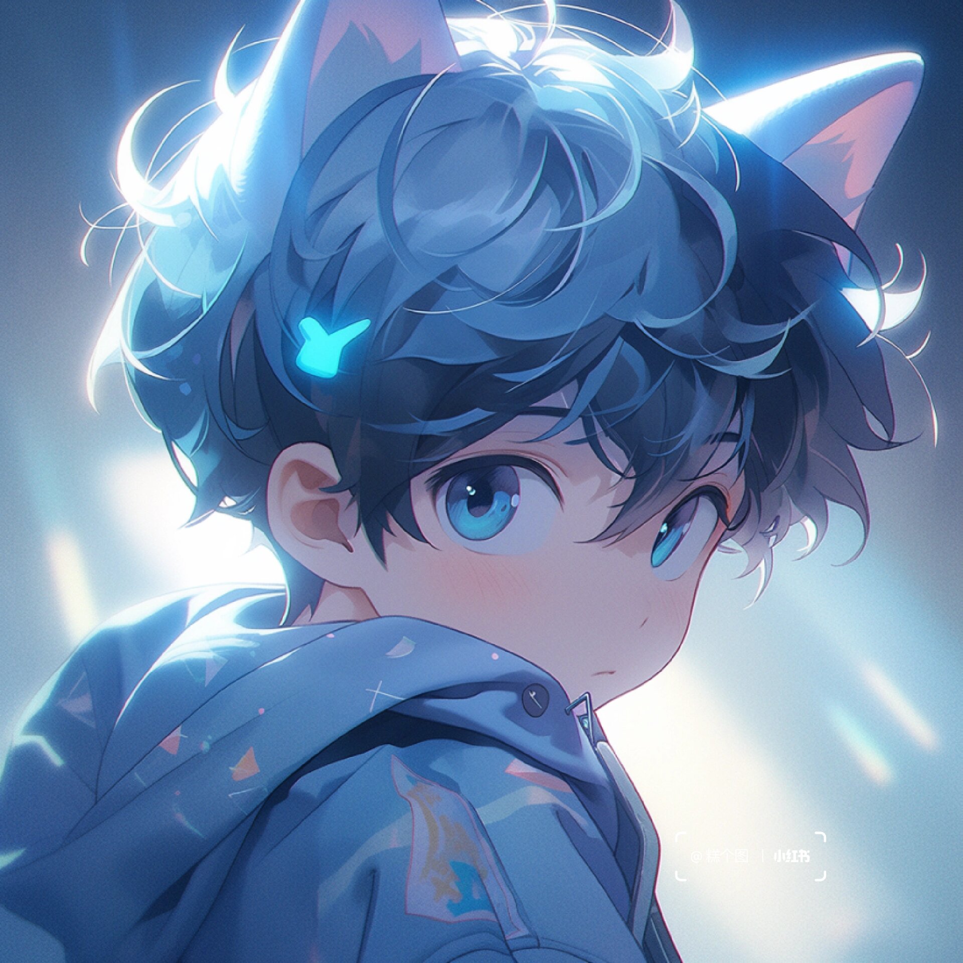 猫耳少年